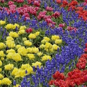 Meet your Posher, Muna